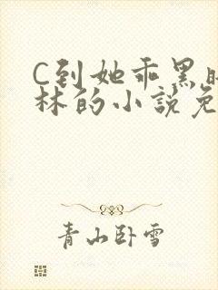 C到她乖黑暗森林的小说免费