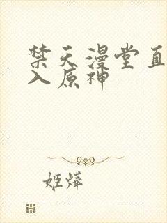 禁天漫堂直接进入原神