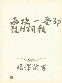两攻一受3p双龙H调教