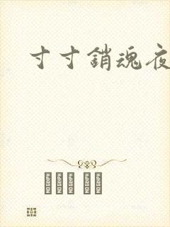 寸寸销魂夜春光