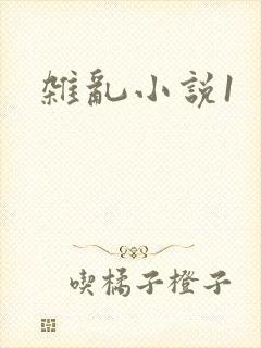 杂乱小说1