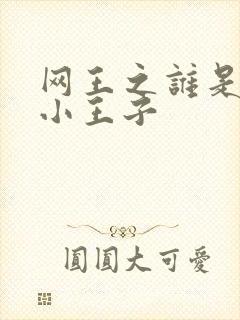 网王之谁是我的小王子
