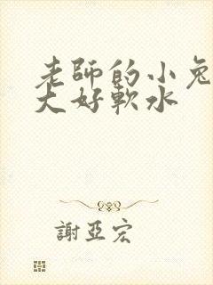 老师的小兔子好大好软水