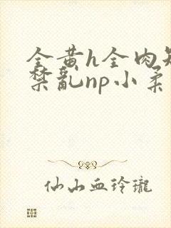 全黄h全肉短篇禁乱np小柔