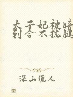 太子妃被暗卫C到合不拢腿