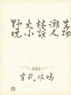 野火林潮生林晚晚小说人物野火