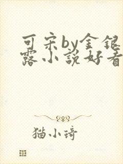 可宋by金银花露小说好看吗