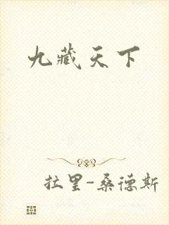 九藏天下