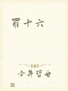 罗十六