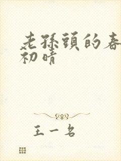 老孙头的春天林初晴