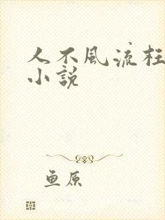 人不风流枉少年小说