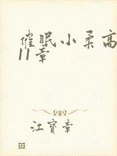 催眠小柔高达第11章