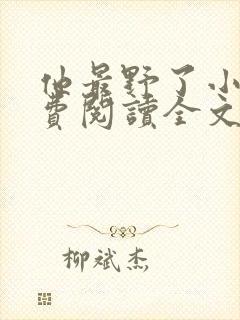 他最野了小说免费阅读全文