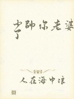 少帅你老婆又跑了