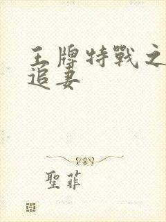 王牌特战之军少追妻