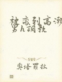 被脔到高潮的直男h调教