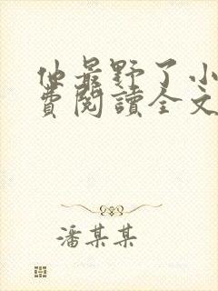 他最野了小说免费阅读全文