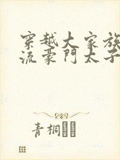 穿越大家族之风流豪门太子爷