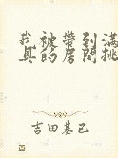 我被带到满是玩具的房间挑调作文