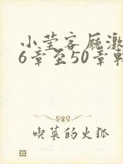 小莹客厅激情46章至50章软件介绍