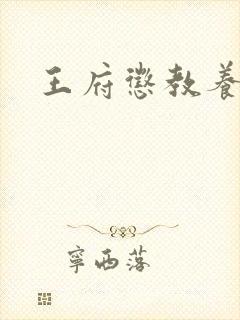 王府惩教养日常