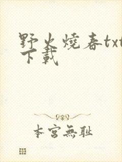 野火烧春txt下载