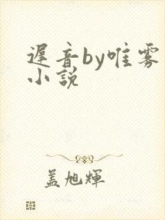 迟音by唯雾的小说