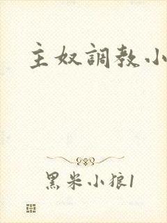 主奴调教小说
