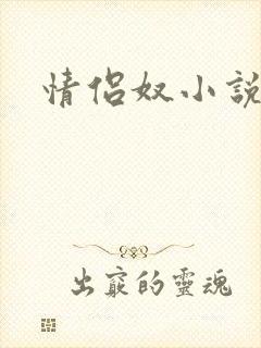 情侣奴小说