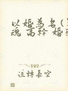 以婚为名 (军魂 高干 婚恋)