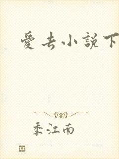 爱去小说下载网