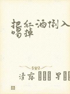 把红酒倒入b里喝掉