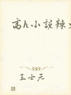 高h小说辣文