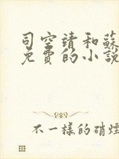 司空靖和苏月汐免费的小说笔趣阁