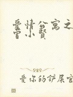 爱情公寓之极品曾小贤