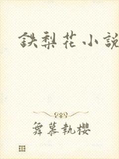 铁梨花小说