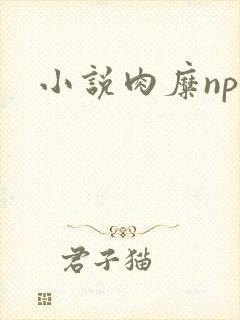 小说肉糜np
