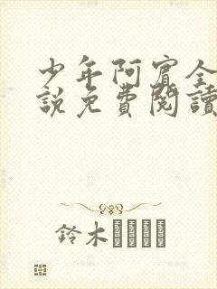 少年阿宾全文小说免费阅读笔趣阁