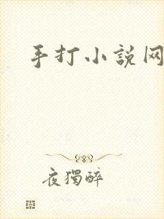 手打小说网
