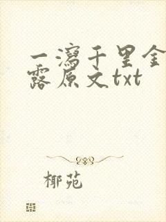 一泻千里金银花露原文txt