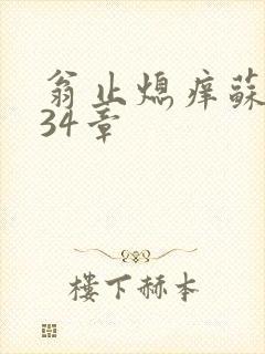 翁止熄痒苏钥第34章