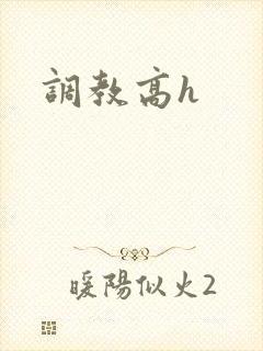 调教高h