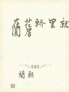 在花轿里就开始圆房