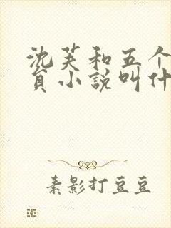 沈芙和五个消防员小说叫什么