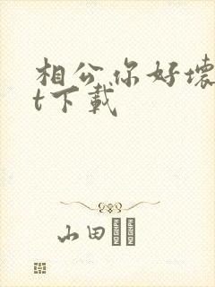 相公你好坏txt下载
