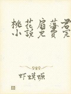 桃花扇落君不还小说免费完整版