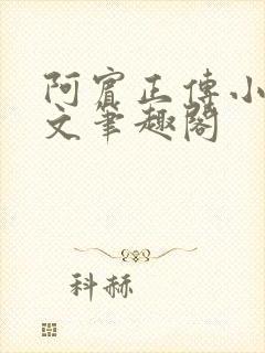 阿宾正传小说全文笔趣阁