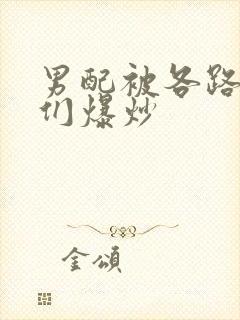 男配被各路大佬们爆炒