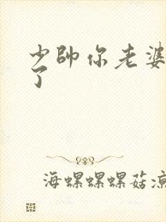 少帅你老婆又跑了