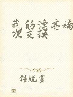 我的漂亮娇妻初次交换